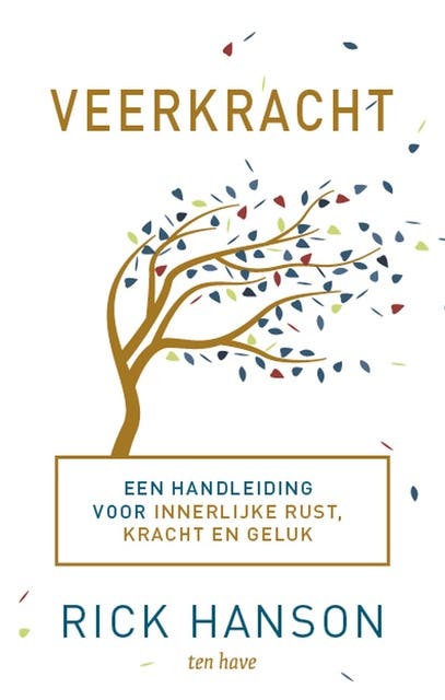 Veerkracht: Een handleiding voor innerlijke rust, kracht en geluk – omslag van het luisterboek van Rick Hanson