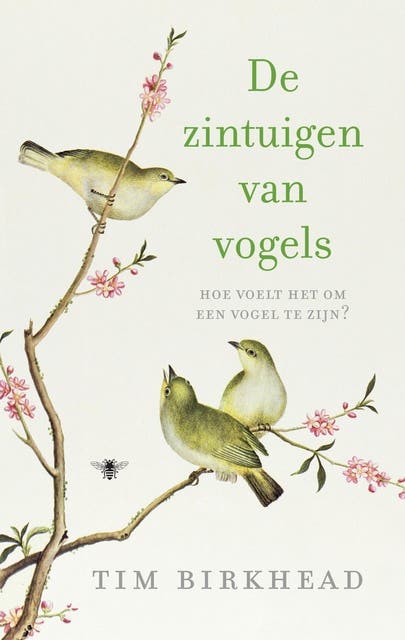 De zintuigen van vogels: hoe voelt het om een vogel te zijn? – omslag van het luisterboek van Tim Birkhead