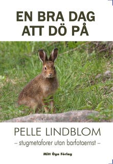 En bra dag att dö på