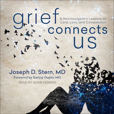 Grief Connects Us – omslag til lydbogen af Joseph D. Stern, MD