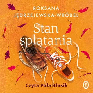 Stan splątania