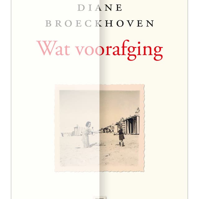 Wat voorafging – omslag van het luisterboek van Diane Broeckhoven
