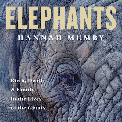 Elephants
