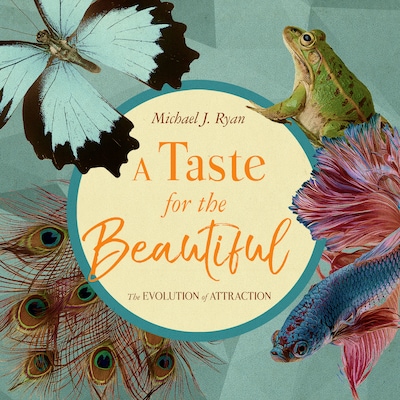 A Taste for the Beautiful – omslag til lydbogen af Michael J. Ryan