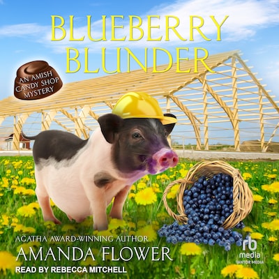 Blueberry Blunder – omslag til lydbogen af Amanda Flower