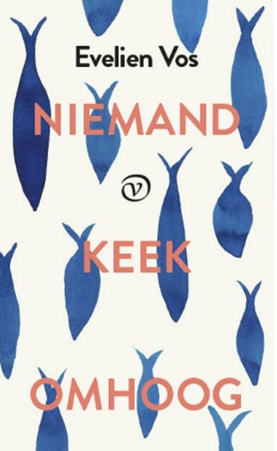 Niemand keek omhoog – omslag van het luisterboek van Evelien Vos
