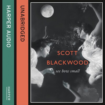 See How Small – omslag til lydbogen af Scott Blackwood