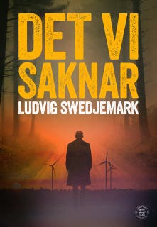 Det vi saknar – omslag till ljudboken av Ludwig Swedjemar