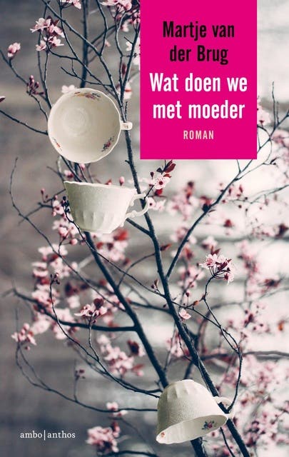 Wat doen we met moeder – omslag van het luisterboek van Martje van der Brug