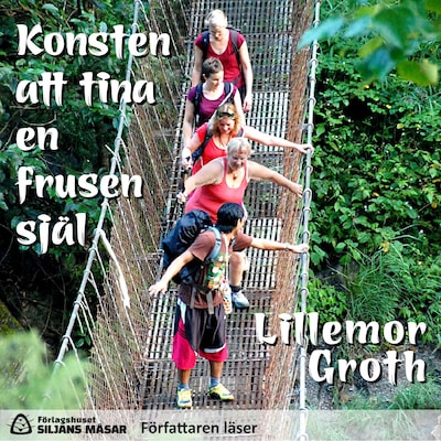 Konsten att tina en frusen själ – omslag till ljudboken av Lillemor Groth