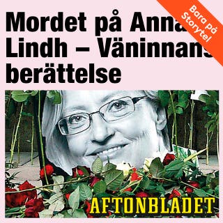 Mordet på Anna Lindh – Väninnans berättelse