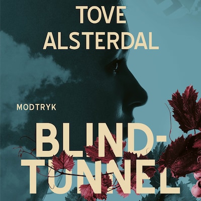 Blindtunnel – omslag til lydbogen af Tove Alsterdal