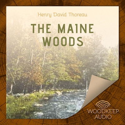 The Maine Woods
