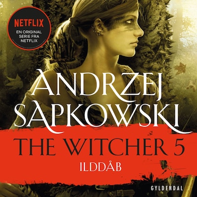 THE WITCHER 5 – omslag til lydbogen af Andrzej Sapkowski