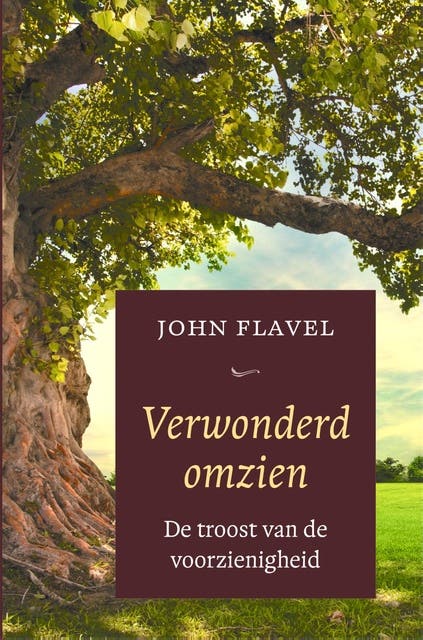 Verwonderd omzien: De troost van de voorzienigheid