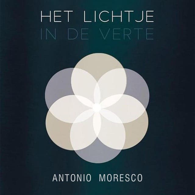 Het lichtje in de verte