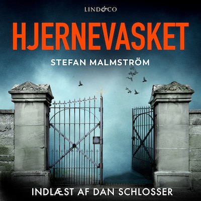 Hjernevasket – omslag til lydbogen af Stefan Malmström