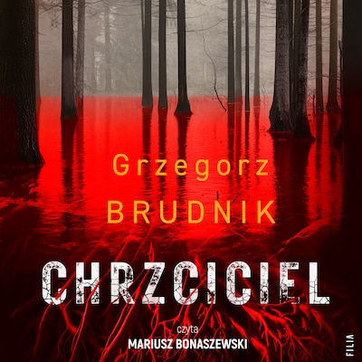 Chrzciciel – okładka audiobooka, autor Grzegorz Brudnik