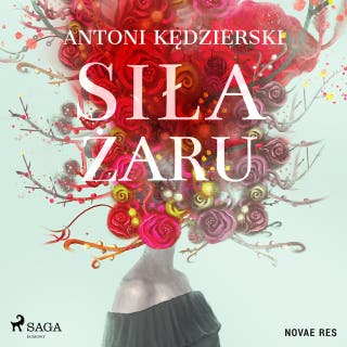 Siła żaru