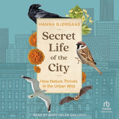 Secret Life of the City – omslag til lydbogen af Hanna Hagen Bjørgaas