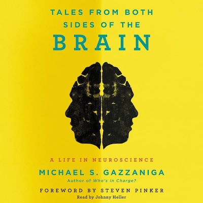 Tales from Both Sides of the Brain