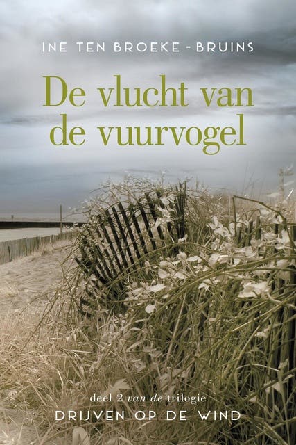 De vlucht van de vuurvogel – omslag van het luisterboek van Ine ten Broeke-Bruins