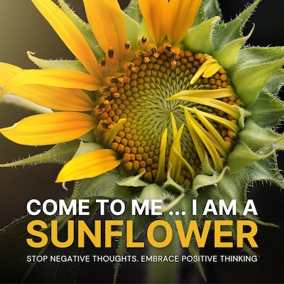 Come to Me: I Am a Sunflower – omslag til lydbogen af Institute For Self-Hypnosis