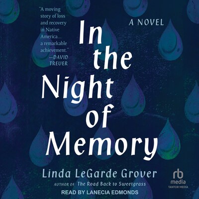 In the Night of Memory – omslag til lydbogen af Linda LeGarde Grover