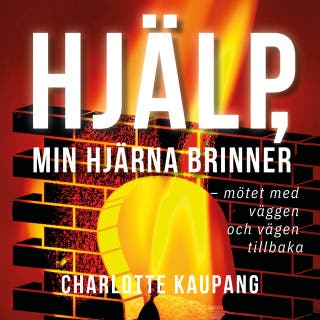 Hjälp min hjärna brinner: -mötet mef väggen och vägen tillbaka