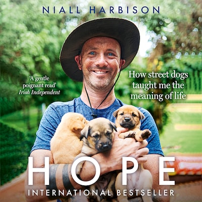 Hope – How Street Dogs Taught Me the Meaning of Life
