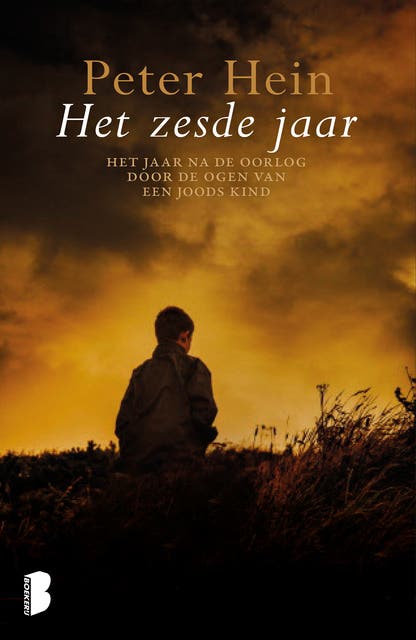 Het zesde jaar: Het jaar na de oorlog door de ogen van een Joods kind
