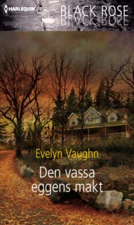 Den vassa eggens makt – omslag till ljudboken av Evelyn Vaughn
