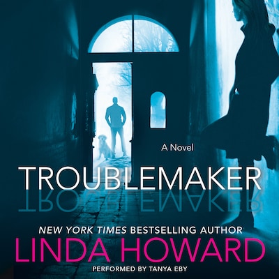 Troublemaker