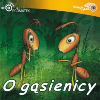 O gąsienicy – okładka audiobooka, autor Ryszard Adam Gruchawka