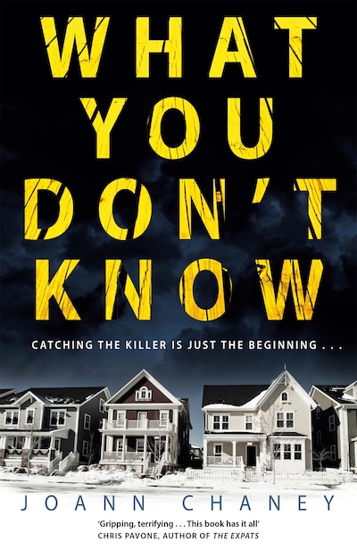 What You Don't Know – omslag til lydbogen af JoAnn Chaney
