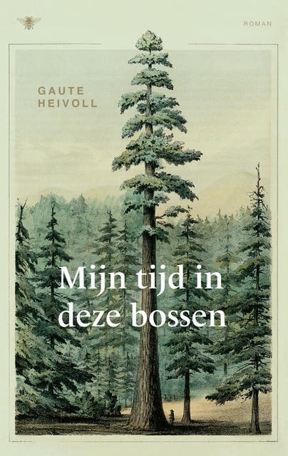 Mijn tijd in deze bossen – omslag van het luisterboek van Gaute Heivoll