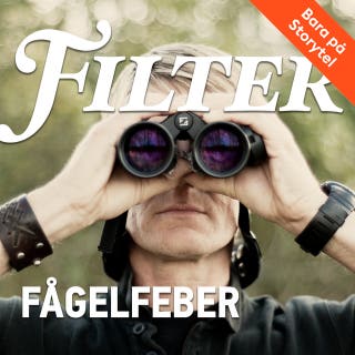 Fågelfeber - om att jaga i flock