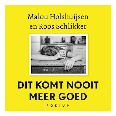 Dit komt nooit meer goed