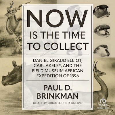 Now Is the Time to Collect – omslag til lydbogen af Paul D. Brinkman