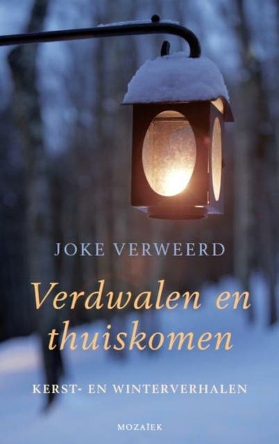 Verdwalen en thuiskomen: kert- en winterverhalen – omslag van het luisterboek van Joke Verweerd