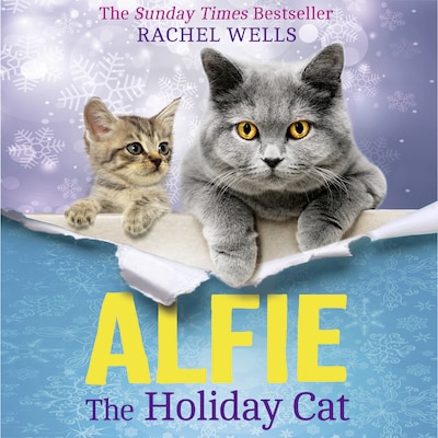 Alfie the Holiday Cat