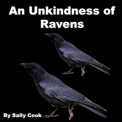 An Unkindness of Ravens – omslag til lydbogen af Sally Cook