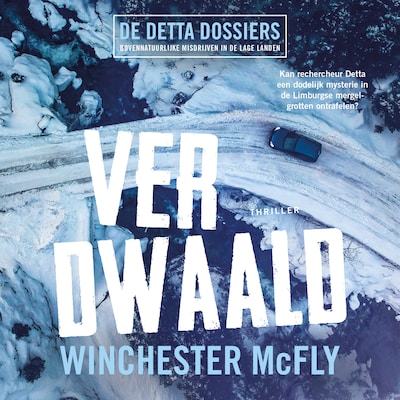 Verdwaald – omslag van het luisterboek van Winchester McFly