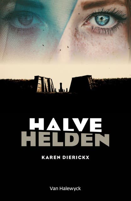 Halve helden: het verhaal van halve helden, van mensen die een deel van zichzelf kwijt zijn in een wereld vol scherven en schimen – omslag van het luisterboek van Karen Dierickx