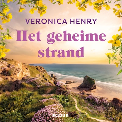 Het geheime strand