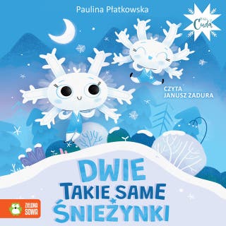 Dwie takie same śnieżynki – okładka audiobooka, autor Paulina Płatkowska
