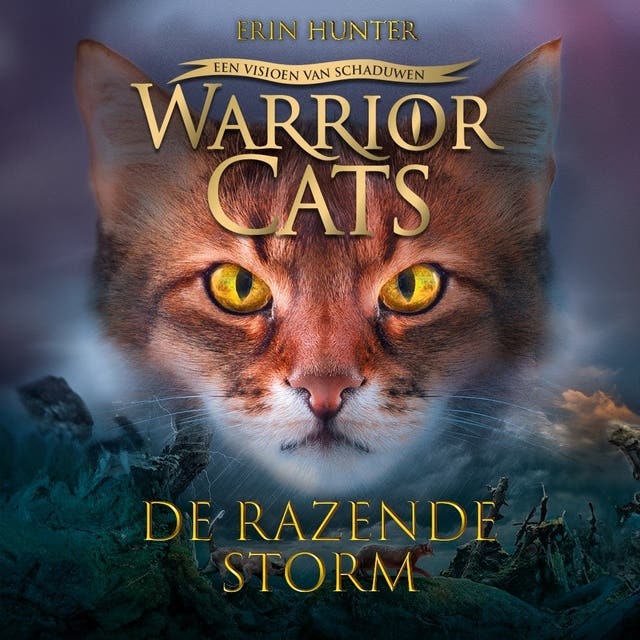 De razende storm