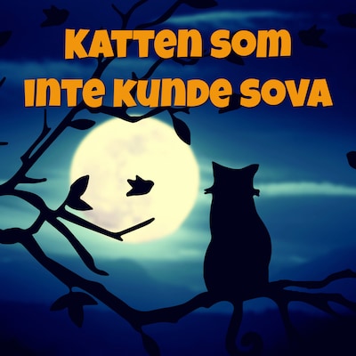 Katten som inte kunde sova – omslag till ljudboken av Anders Björk