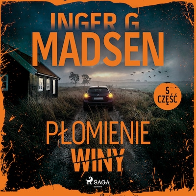 Płomienie winy: część 5 – okładka audiobooka, autor Inger Gammelgaard Madsen