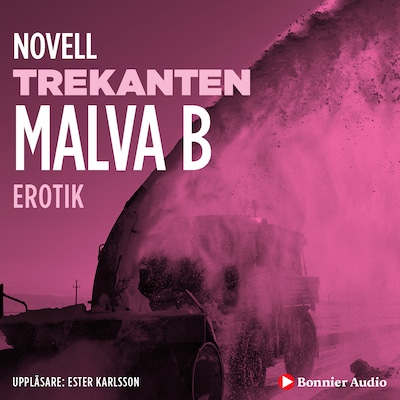 Trekanten : en novell ur Begär